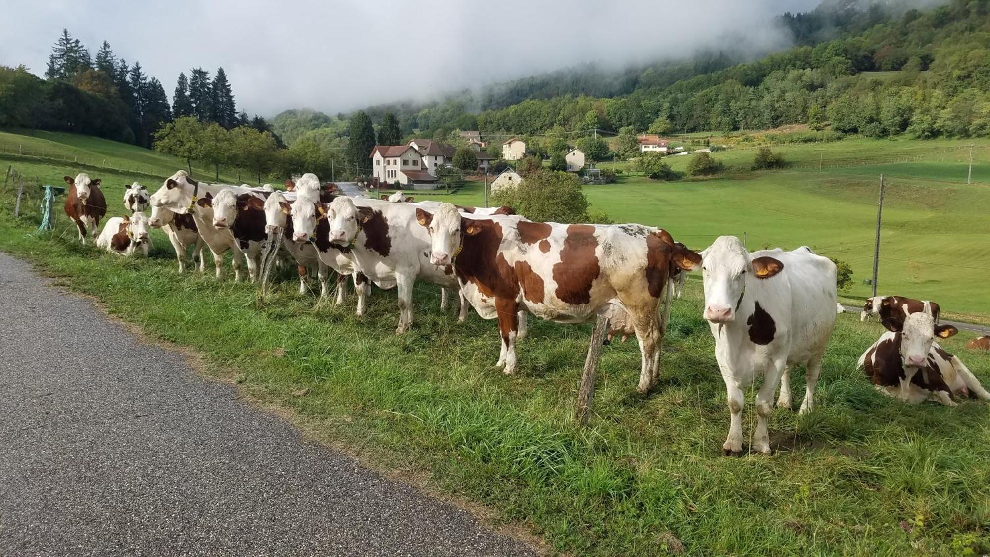 Un Pied Devant L'Autre Sainte-Marie-D'Alvey Exteriör bild