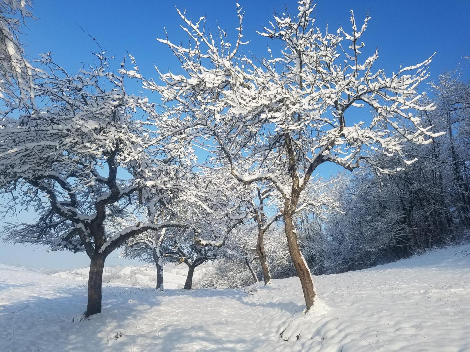 Un Pied Devant L'Autre Sainte-Marie-D'Alvey Exteriör bild